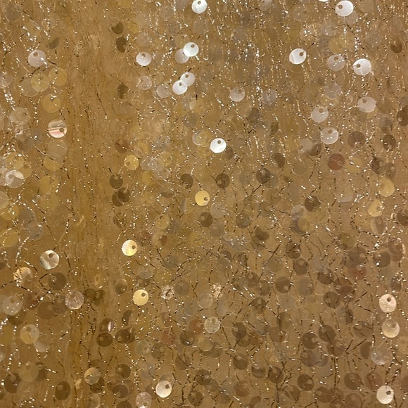 Anthropologie Sheer sequin gold top NWT - Picture 2 of 4